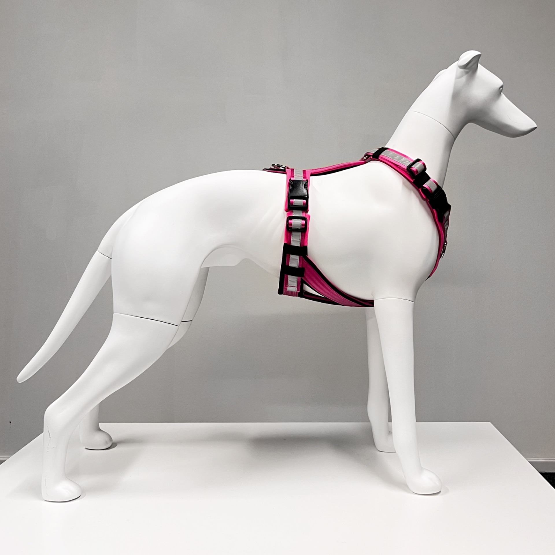 Vinttarimallin valjaat vatsapuolen levikkeillä